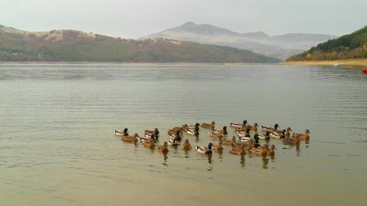 Mihaela Lake Retreat Yuvalar Εξωτερικό φωτογραφία