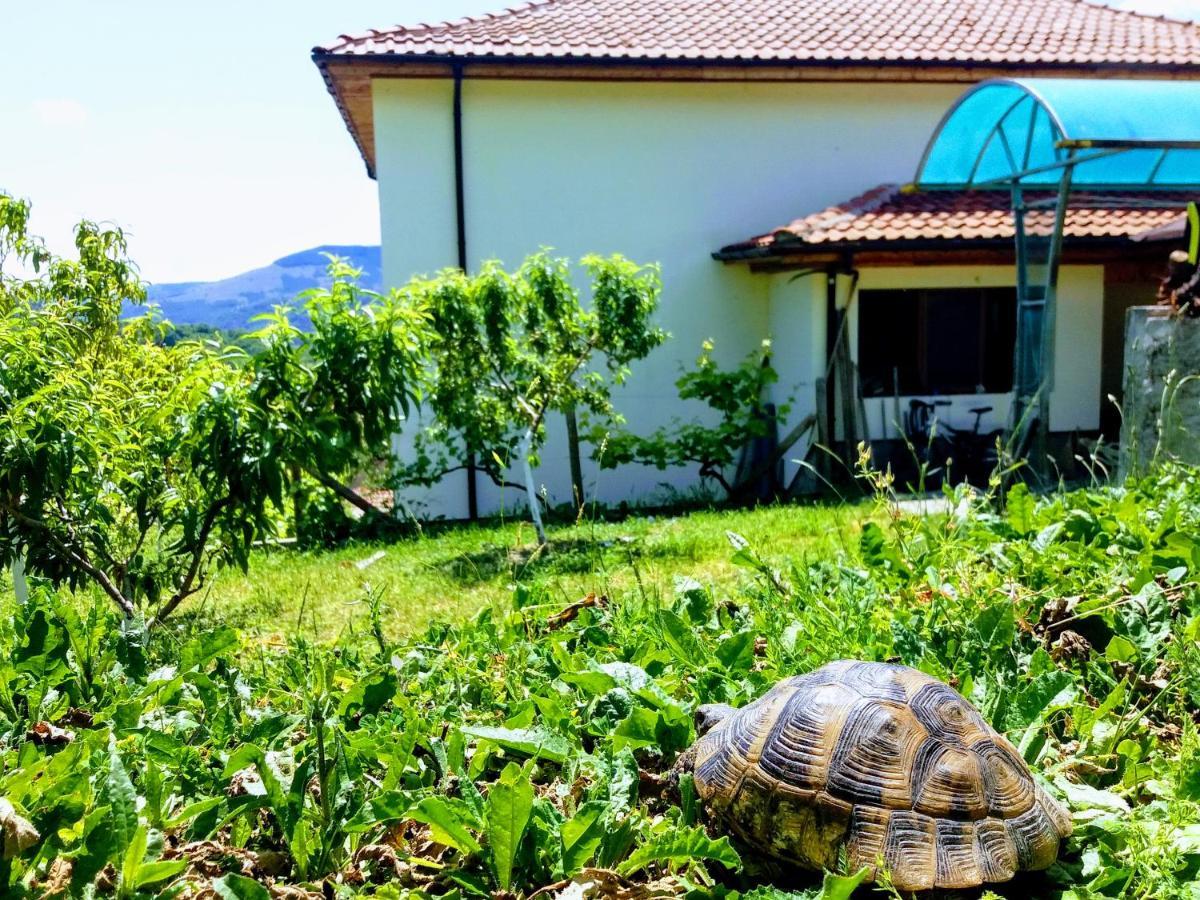 Mihaela Lake Retreat Yuvalar Εξωτερικό φωτογραφία